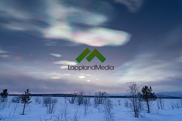Pärlemormoln utanför Kiruna :Mother pearl clouds, Swedish Lapland
