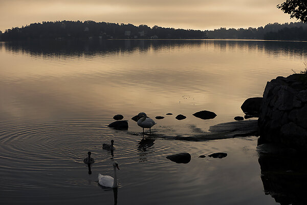 Sweden, Stockholm with Archipelago