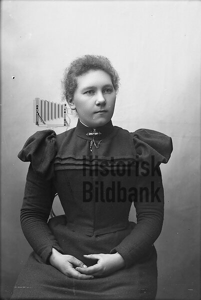 POMMER, LOVISA
