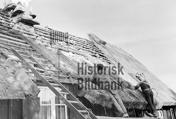 Verksamhet 1970