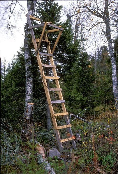 �lgpass