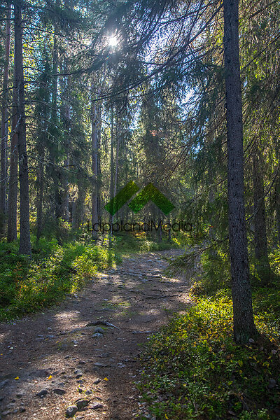 Bälingebergets naturreservat, Luleå :Bälingeberget, Luleå