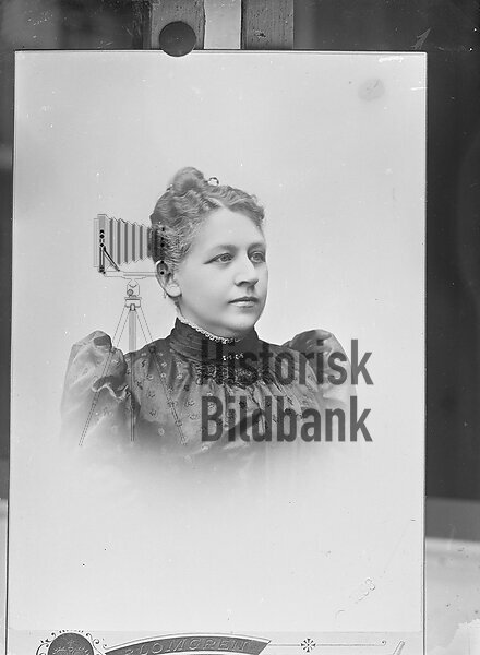 BAUMBACH, ANNA