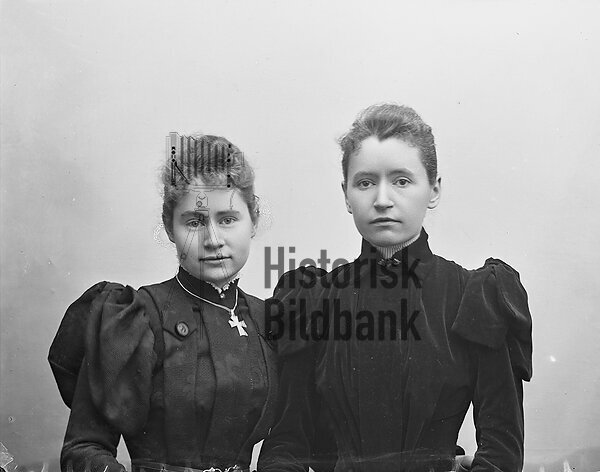 SIEVERTSSON, FR�KNARNA