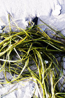 DE20071230_0637_2.jp